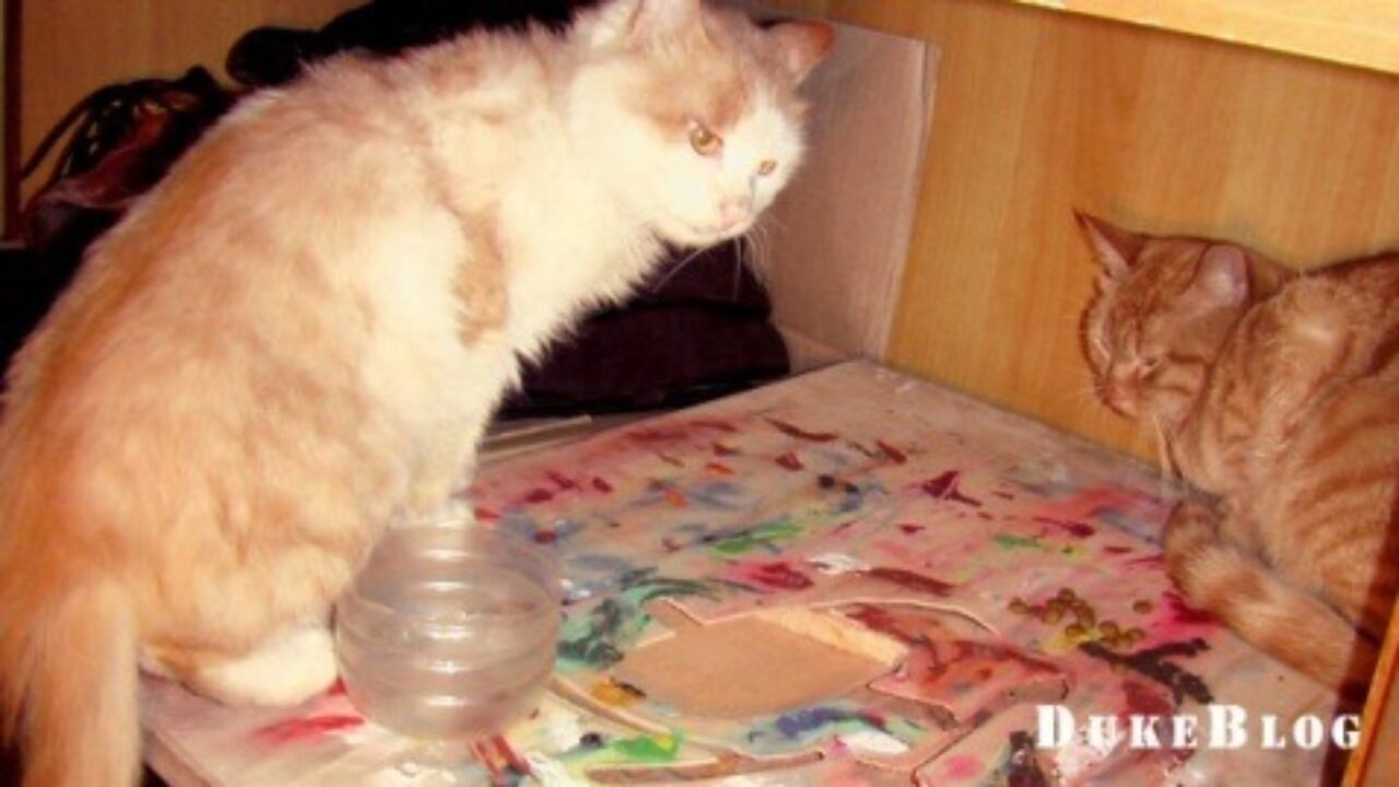 悲惨的幸福生活