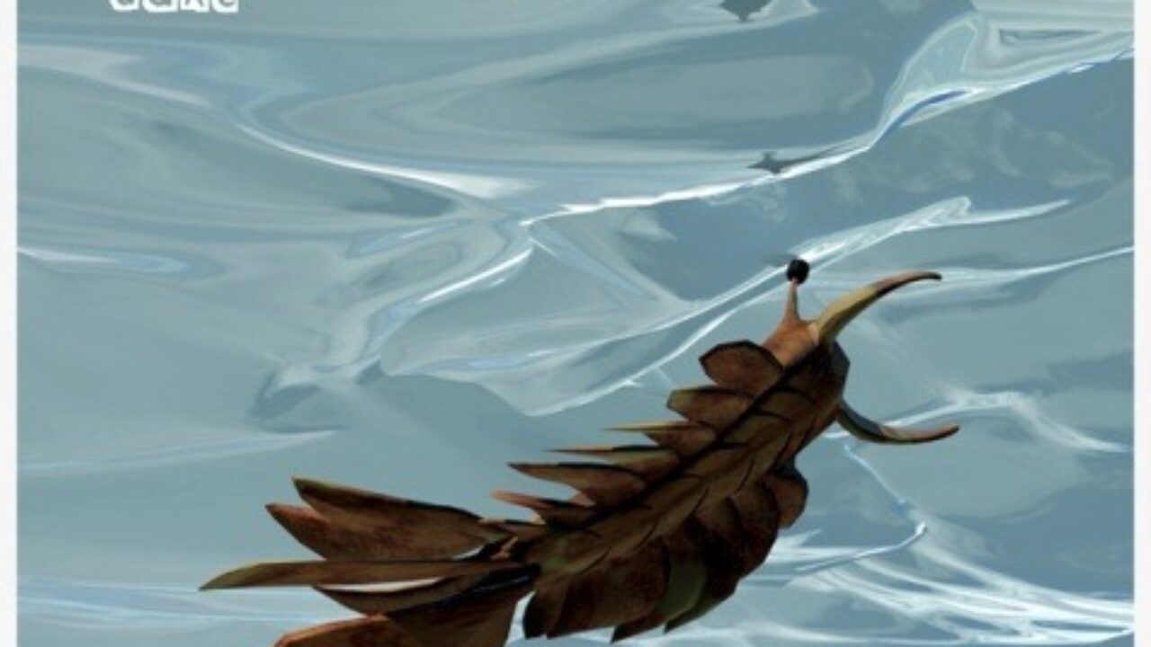 新图 i don’t know