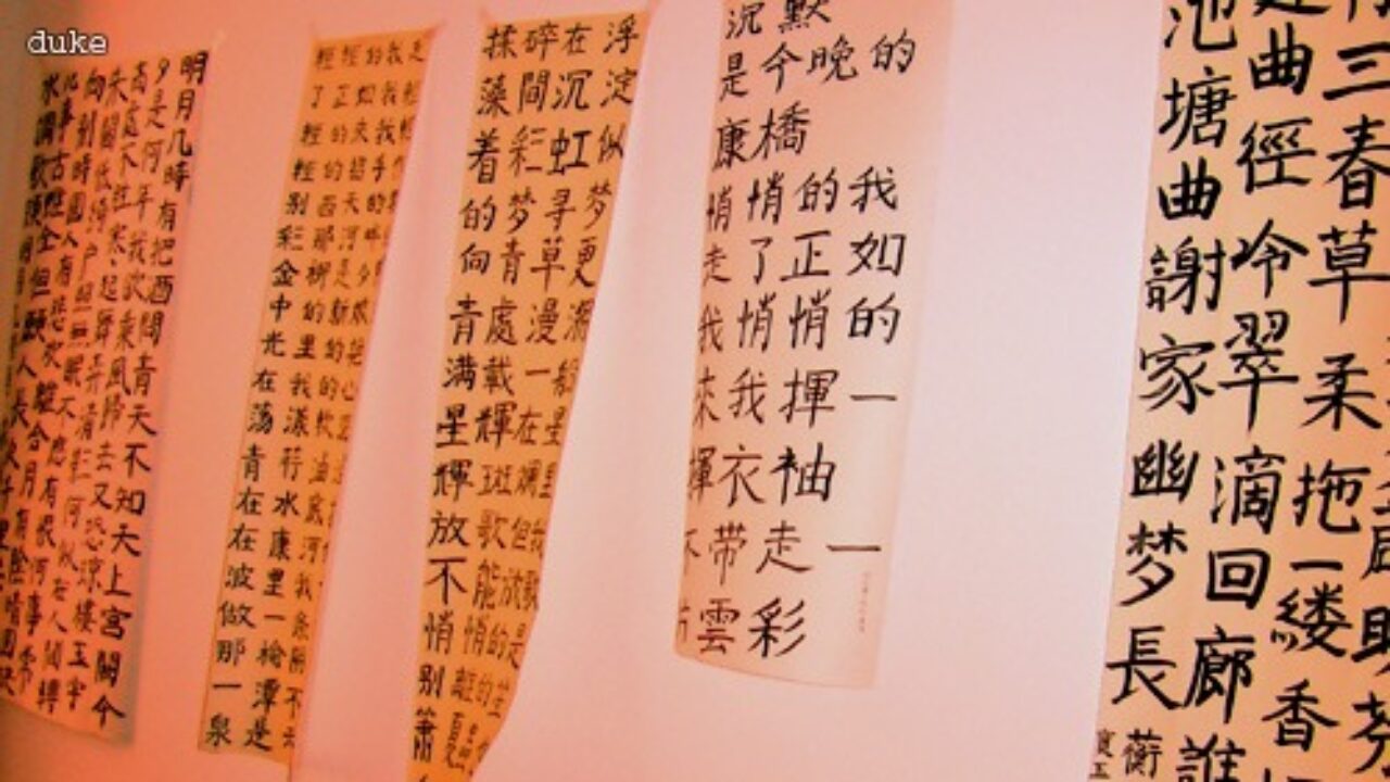 为了忘却的照片