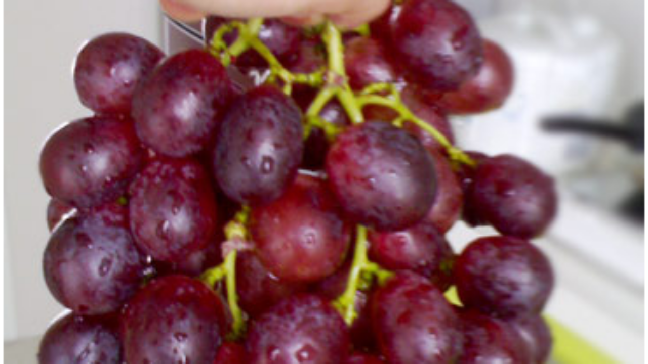 无法理解 无可否认