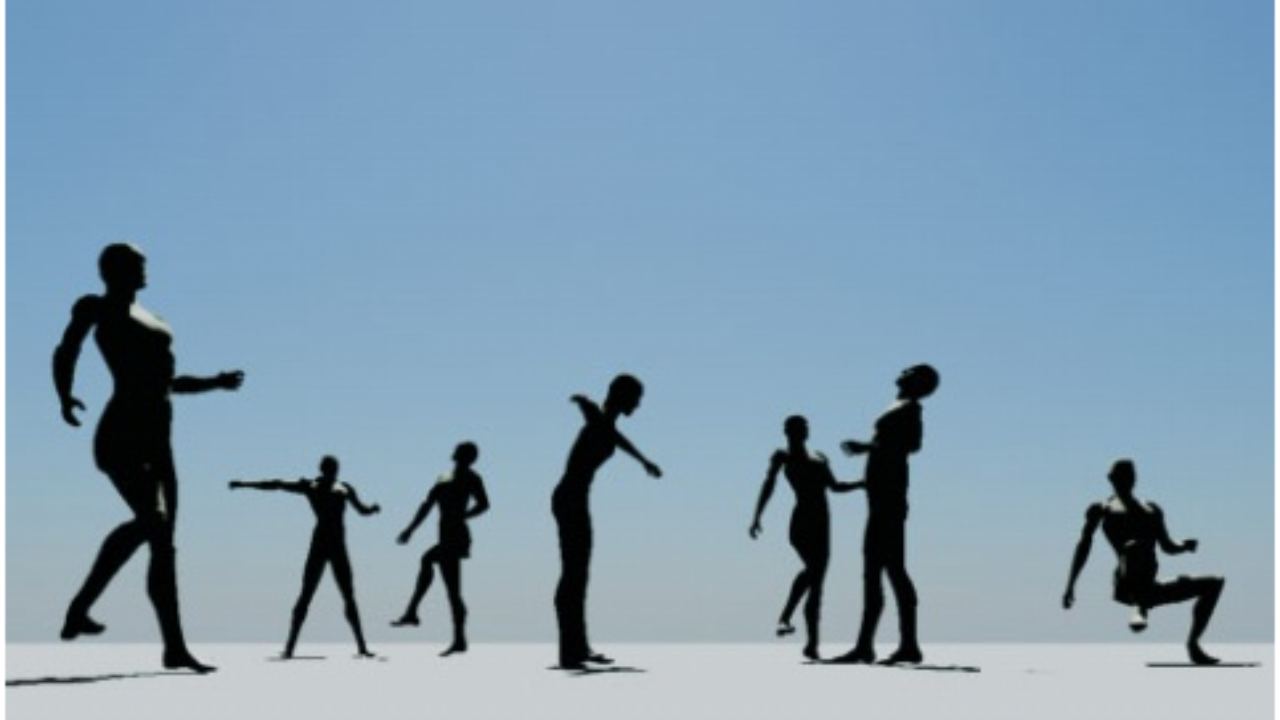 一只猫的网络日志