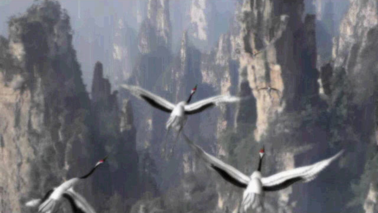 八零后回忆仙剑奇侠传